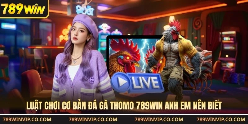 Luật chơi cơ bản đá gà Thomo 789WIN anh em nên biết